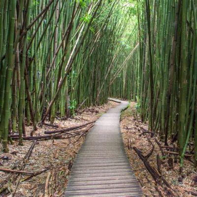  The Enchanted Bamboo Forest! Exploring Themes of Love, Loss, and the Supernatural Through Vietnamese Folklore.